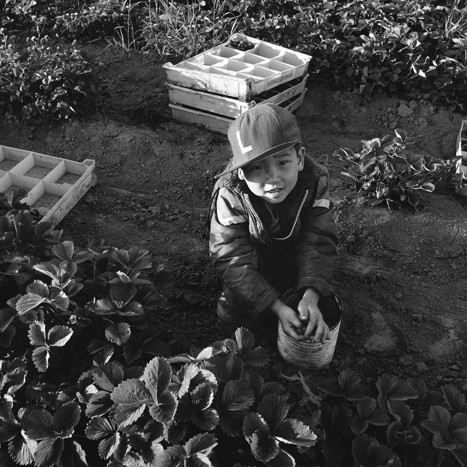 With These Hands by Ken Light